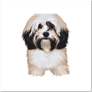 Cute Havanese Drawing Posters and Art